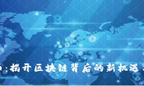 链克币：揭开区块链背后的新机遇与挑战