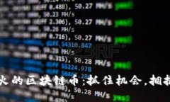 2022年必火的区块链币：抓