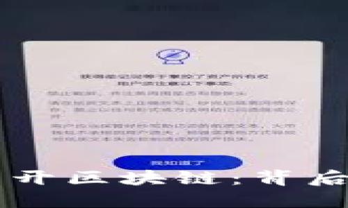 深入探讨比特币公开区块链：背后的技术与未来潜力