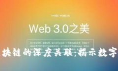 比特币涨跌与区块链的深度关联：揭示数字货币