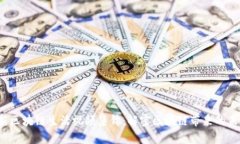 2023年最新区块链生活视频