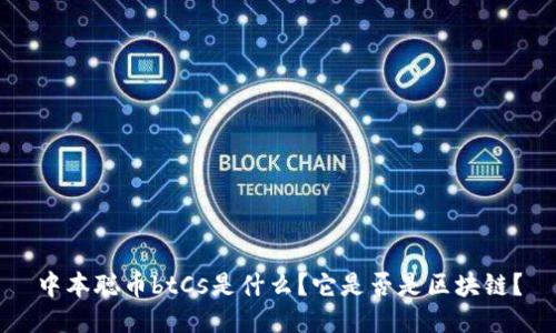 中本聪币btCs是什么？它是否是区块链？