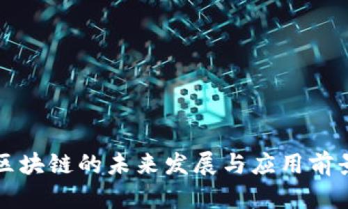 大币区块链的未来发展与应用前景分析