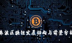 朱波区块链发展动向与前