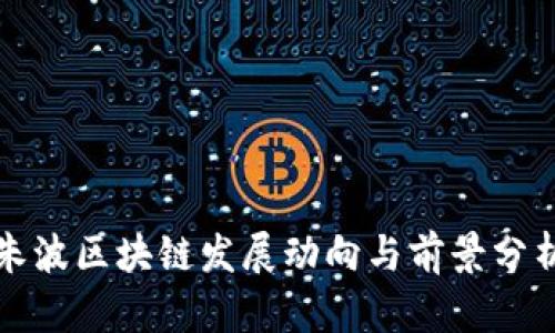 朱波区块链发展动向与前景分析