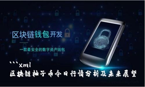 ```xml
区块链柚子币今日行情分析及未来展望