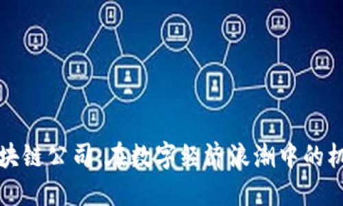 上海币区块链公司：在数字经济浪潮中的机遇与挑战