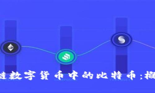 深入探讨区块链数字货币中的比特币：概念、机制与未来