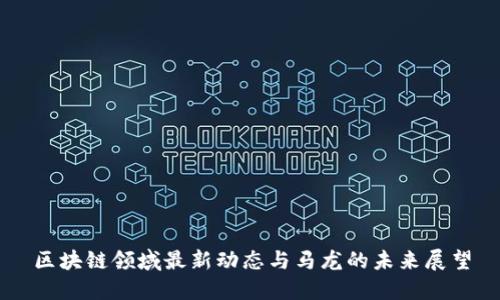 区块链领域最新动态与马龙的未来展望