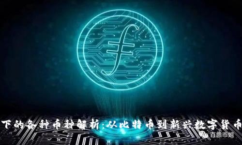 区块链技术下的各种币种解析：从比特币到新兴数字货币的全面探讨