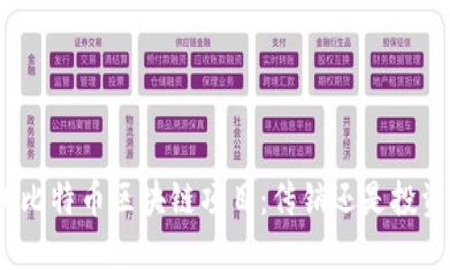 : 滨州比特币区块链项目：传销还是投资机会？