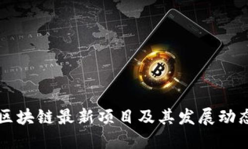 美国区块链最新项目及其发展动态详解