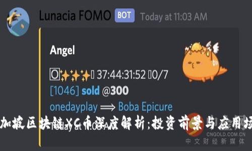 新加坡区块链XC币深度解析：投资前景与应用场景