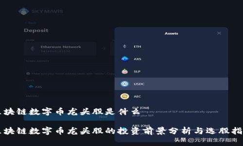 区块链数字币龙头股是什么

区块链数字币龙头股的投资前景分析与选股指南