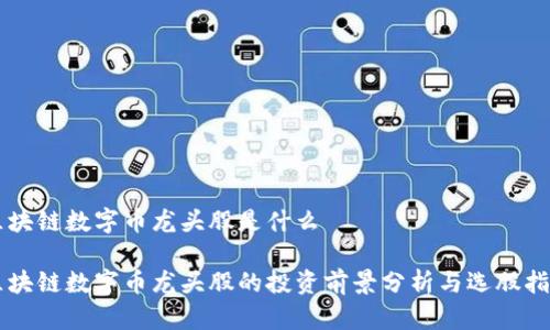 区块链数字币龙头股是什么

区块链数字币龙头股的投资前景分析与选股指南