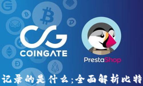 
比特币区块链中记录的是什么：全面解析比特币的交易与数据