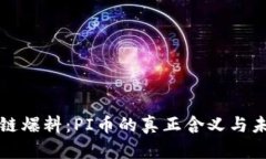 : 区块链爆料：PI币的真正含义与未来展望