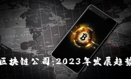 全球最新的区块链公司：2023年发展趋势与前沿动态