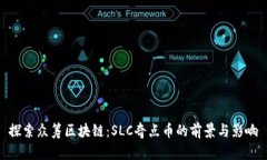 探索众筹区块链：SLC奇点币的前景与影响