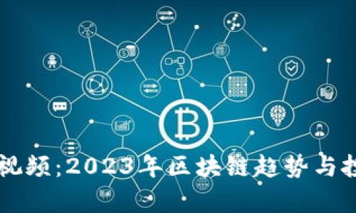 区块链李哥最新视频：2023年区块链趋势与投资策略深度解析