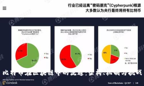 比特币在区块链中的流通：架构、机制与挑战