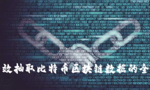 如何有效抽取比特币区块链数据的全面指南