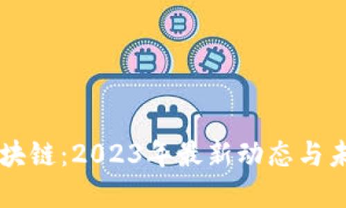 闲云区块链：2023年最新动态与未来展望