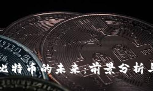 区块链与比特币的未来：前景分析与趋势探讨
