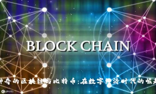 神奇的区块链与比特币：在数字经济时代的崛起