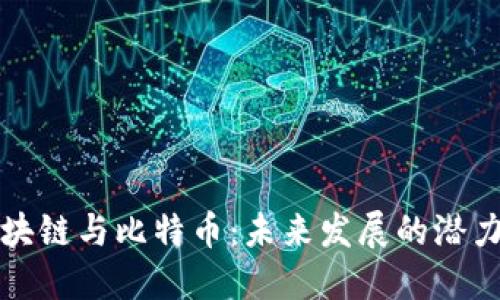 海南区块链与比特币：未来发展的潜力与挑战