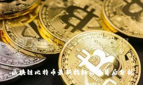 区块链比特币最新指标及其背后分析