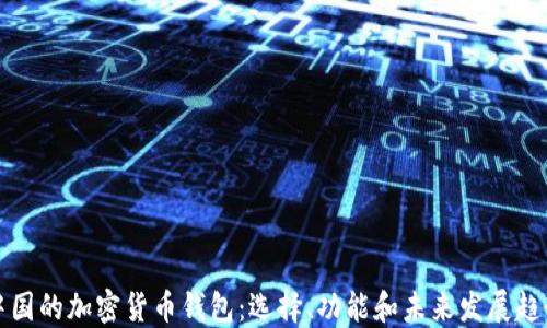 
中国的加密货币钱包：选择、功能和未来发展趋势