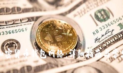 如何设置加密货币钱包网络：详细指南与常见问题解答